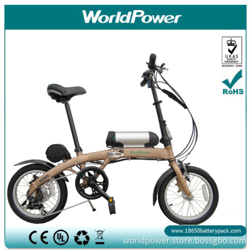 Tube Style 48V Electric Bike Battery 11.6ah (WP-PO-13116)